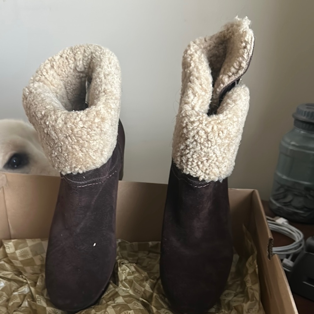 UGG Amoret Java Boots